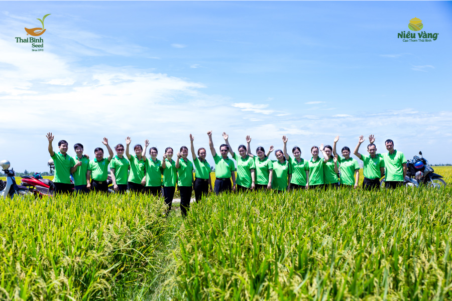 Đưa tinh hoa Việt Nam và thế giới vào quy trình sản xuất gạo Niêu Vàng tin-tuc 