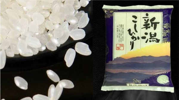 Tại sao gạo Nhật lại được nhiều người yêu thích? tin-tuc 