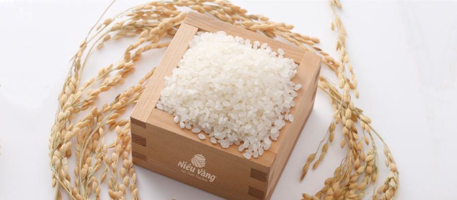 6 loại gạo tuyệt ngon mà mọi “tín đồ” thực phẩm sạch đều săn lùng tin-tuc 