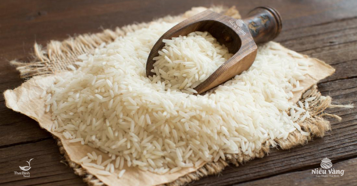 gạo rẻ nhất bao nhiêu tiền