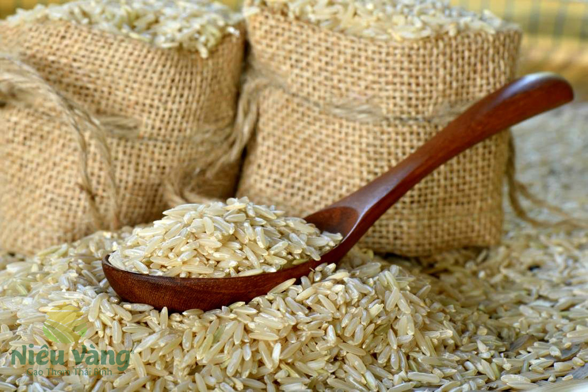 Gần nửa thế kỷ ấp ủ một giống gạo sạch và quý – Niêu Vàng! tin-tuc 