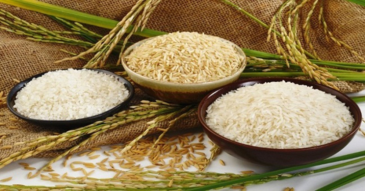 "Gạo sạch nguyên chất" có thay thế được gạo hữu cơ? tin-tuc 