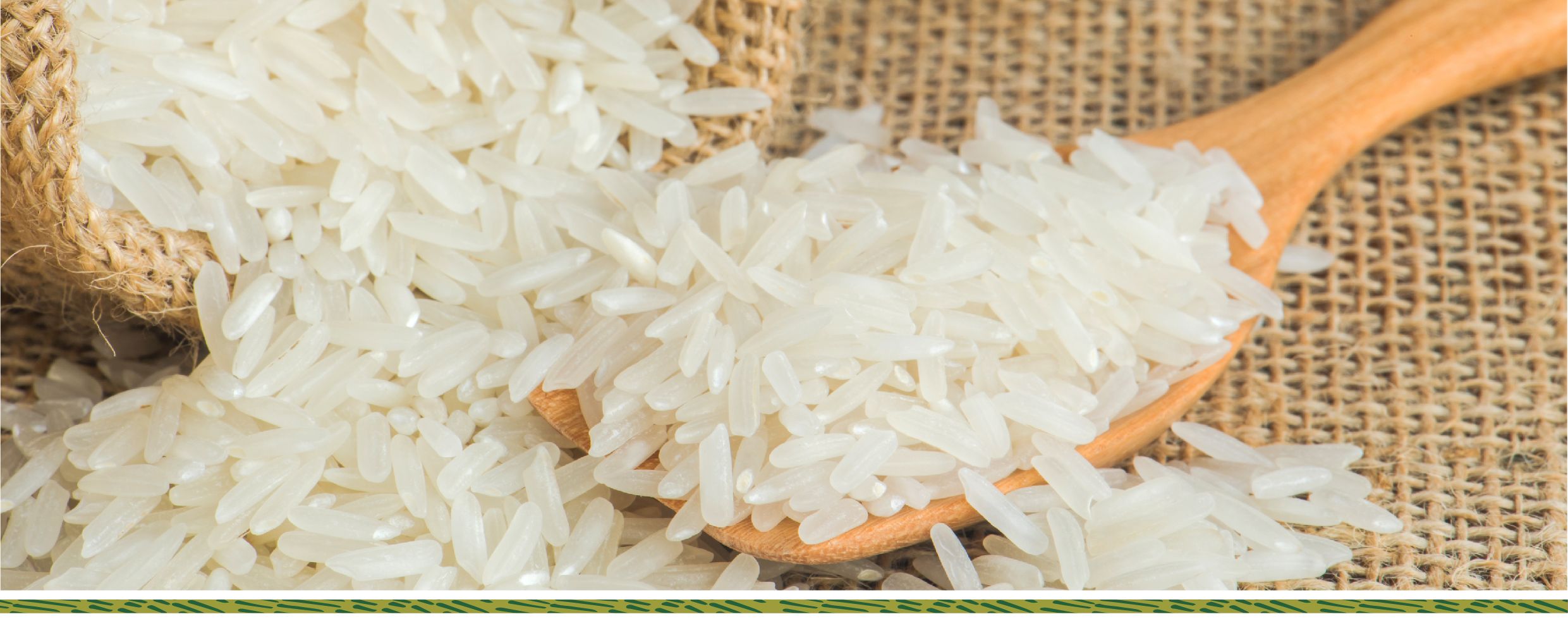 Kinh doanh gạo sạch quá dễ: không cần nhập hàng và kho bãi tin-tuc 
