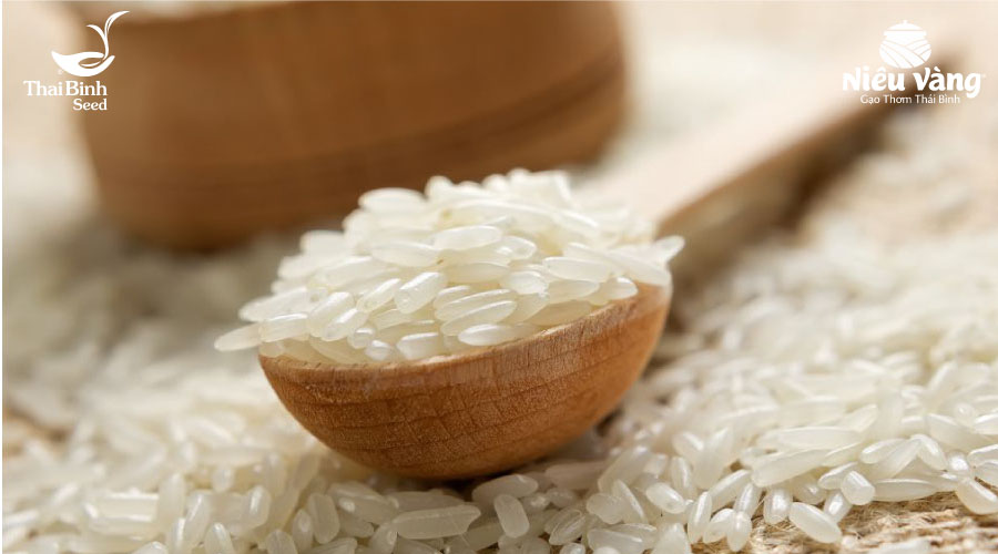 5 bí quyết chọn gạo ngon sạch ngay từ cái nhìn đầu tiên tin-tuc 