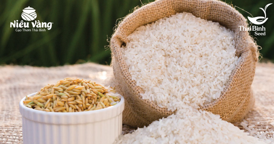 Top 5 các loại gạo dinh dưỡng và siêu sạch cho người mang thai tin-tuc 