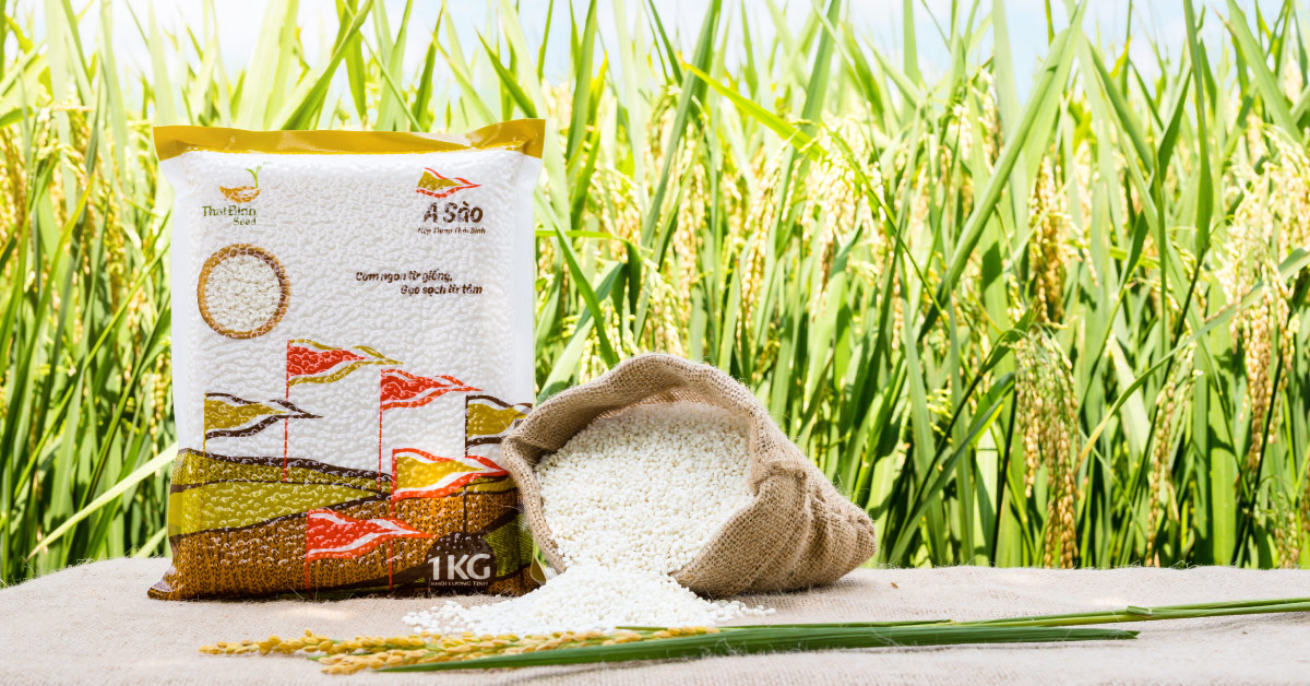 Gần nửa thế kỷ ấp ủ một giống gạo sạch và quý – Niêu Vàng! tin-tuc 