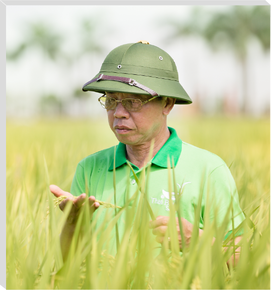 Người 40 năm đi tìm và nghiên cứu loại gạo sạch từ giống lúa 