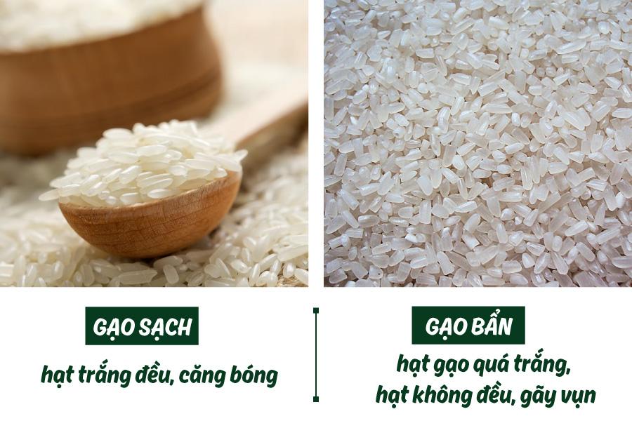 3 lầm tưởng về gạo ngon mà hầu như ai cũng mắc phải tin-tuc 