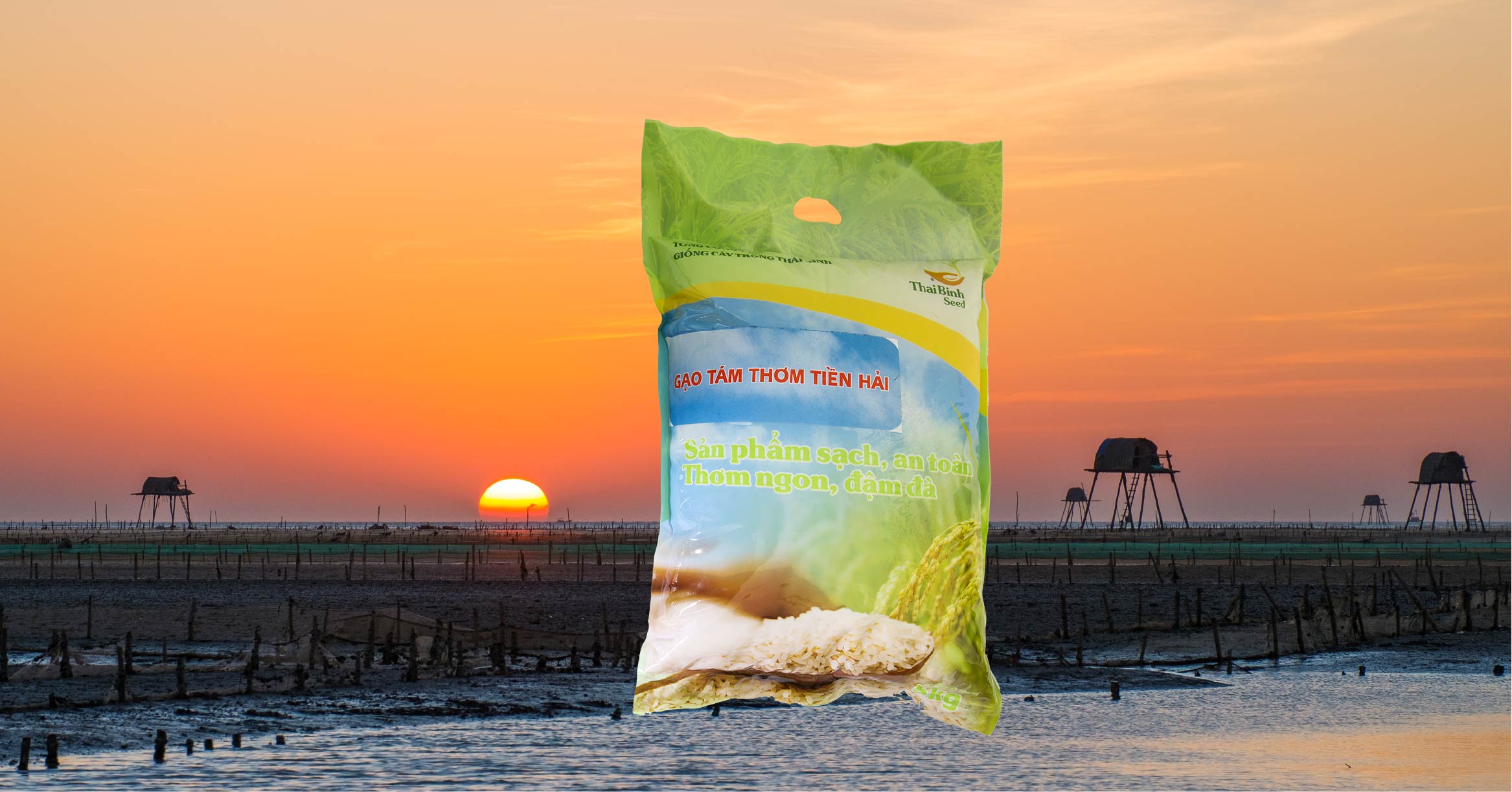 Top 5 loại gạo ngon sạch nguyên chất cho người sành ăn tin-tuc 